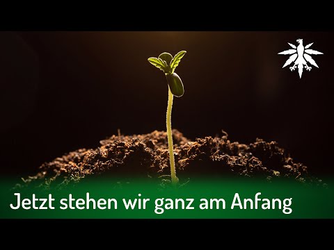 Jetzt stehen wir ganz am Anfang | DHV-News # 325