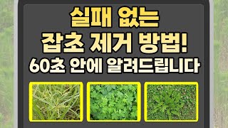 제초제 사용법 이 영상으로 끝내세요! 상황별 잡초 제거 방법 대공개!