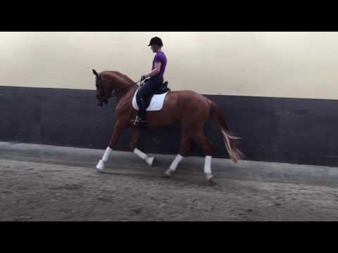 Fürst Romancier - Sandro Hit