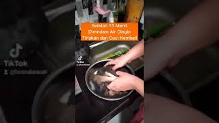 Download lagu CARA MASAK EMPUK DAN MENGHILANGKAN BAU BABAT || BAT BABAT BABAT √ mp3