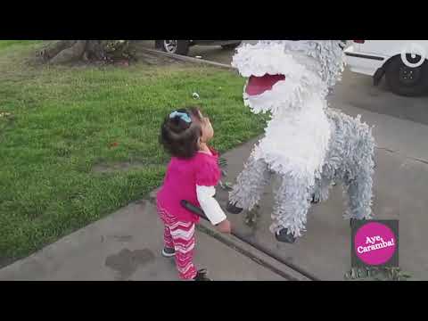 Hilarious Piñata Fails 🥳 🤕😵😱