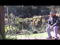 Garden Sounds