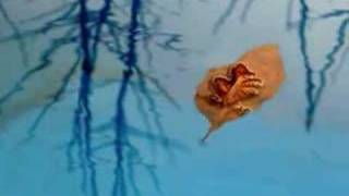 Ora e qui - Niccolo' Fabi