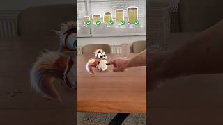 Download lagu Scrappy Speed Drinks Too Much Liquid #squirrel #cartoon #comedy mp3