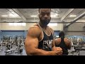 Full Arm Workout For Thick And Huge Arms