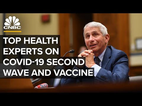Anthony Fauci and top health experts discuss Covid-19 second wave and vaccine — 11/12/20