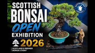Scottish Bonsai Open Exhibition 2026 🌲