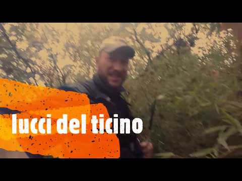 luccio del fiume ticino pike fishing ticino