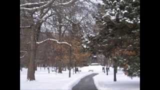 Merry Christmas All -  The Salsoul Orchestra