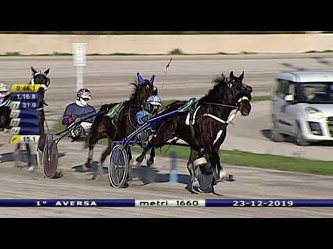 Aversa trotto 23 Dicembre 2019 - 1° Corsa