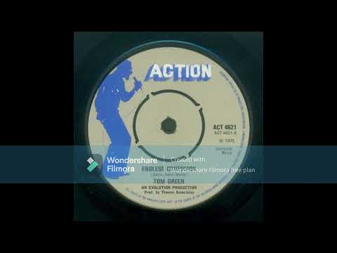 1973 - Tom Green - Endless Confusion
