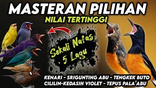 Download lagu Mewah pooL !! MASTERAN MURAI BATU FULL ISIAN TEMBAKAN MEWAH‼️ mp3 Download lagu Mewah pooL !! MASTERAN MURAI BATU FULL ISIAN TEMBAKAN MEWAH‼️ mp3