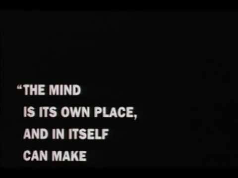 Bad Lieutenant & The Blackout trailer