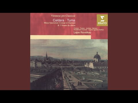 Sonata a cinque e-moll Vogg-Verz. Nr.6 (1742) : Allegretto