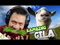 SIMULASI MENJADI KAMBING BAR BAR WKWKWK Goat Simulator SUB INDO Serudukan Maut