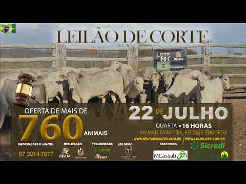 LEILÃO VIRTUAL REATA REMATES & LN LEILÕES - CAMPO GRANDE/MS - RURAL PLAY