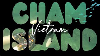 Vietnam’s Hidden Gem: Cham Island, Hoi An | Is this Vietnam’s BEST Island?! 🌴🐠