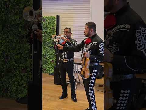 Mariachi Mexcali de Sacramento (sabor a mi) contrataciones 916 4295180 luis Garcia