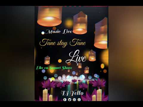 Tune Stay Tune ( Jil Frans ) ( Best Of Me ) Live