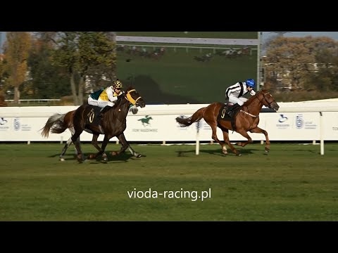 Gon. IX (N. Witraża) - 24.10.2021 - Salam Al Khalediah (Nashwan Al Khalidiah - Quesche du Paon)