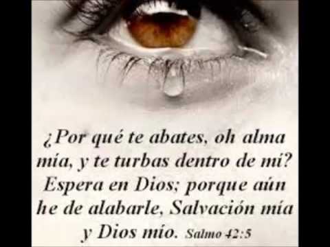 download lagu mp3 mp4 Salmo 42 Reflexion, download lagu Salmo 42 Reflexion gratis, unduh video klip Salmo 42 Reflexion