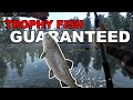 This Might Be The BEST Trout Lure EVER Fishing Planet 3