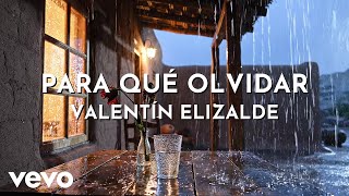 Valentín Elizalde - Para Qué Olvidar (Visualizer)