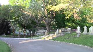 preview picture of video 'Urban Options: Mount Auburn Cemetery Cambridge MA Part 2 A Duck in the Dell.'