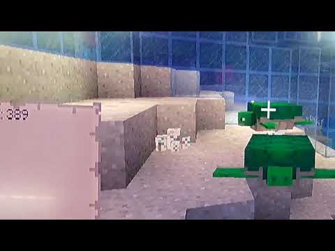 Mini tartarughe😍 (*emozionante*)