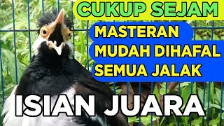 Download Lagu Suara Jalak Suren Gacor MP3 dan Video MP4 Gratis