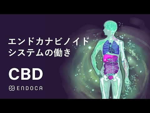 カンナビノイドについて詳しく解説