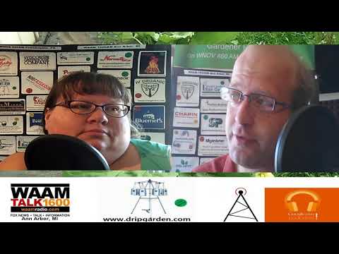 S3E17 The Value of Bees - The Wisconsin Vegetable Gardener Radio show