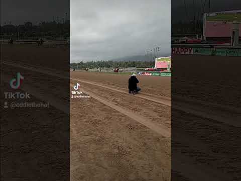 Santa Anita Park San Vicente Stakes