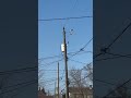 Helicopter Advertisement Rent Windsor Windsorontario Ytshorts Shorts Viral Trending Canada