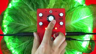 //www.youtube.com/embed/rKnFCYouXL0