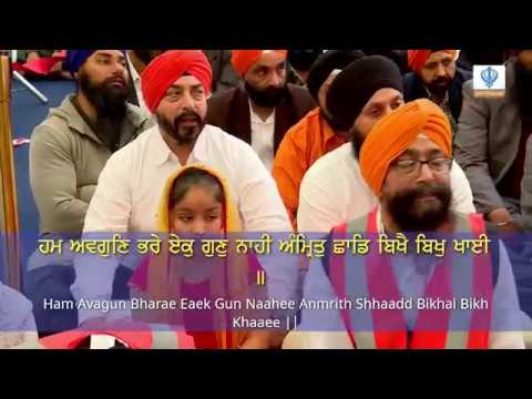 Bhai Ravinder Singh Ji Hazoori Raagi - Day 3 Afternoon - Sarbat Da Bhalla Smagam 2019 (London, UK)