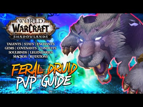 9.0 FERAL DRUID PvP GUIDE - Talents, Stats, Covenants, Soulbinds, Macros, Rotations WoW: Shadowlands