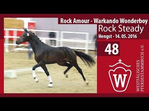 48 Longiervideo Rock Steady (Hengst v. Rock Amour - Warkando Wonderboy)