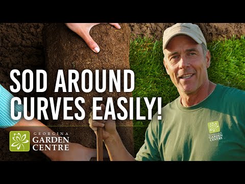 How to Sod Around a Circular Garden | Easy Lawn Edging Guide