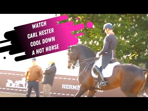 Watch Carl Hester Ride A Hot Horse In The Grand Prix Dressage Warm Up