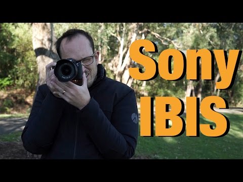 Sony In Body Image Stabilisation test (IBIS)