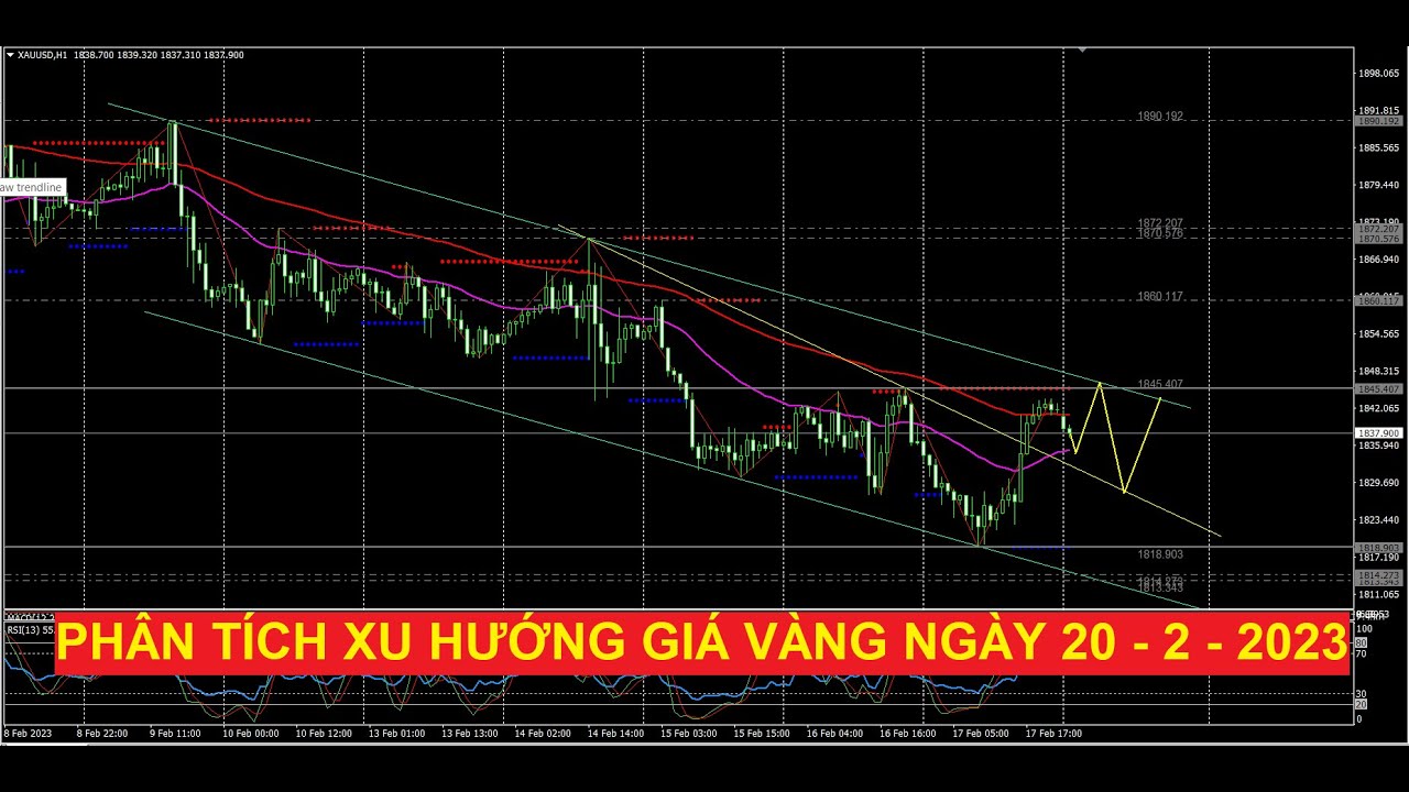 Video phân tích giá vàng và chiến lược GD ngày 20/2/2023