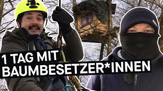 Baumbesetzung als Protest: Warum?