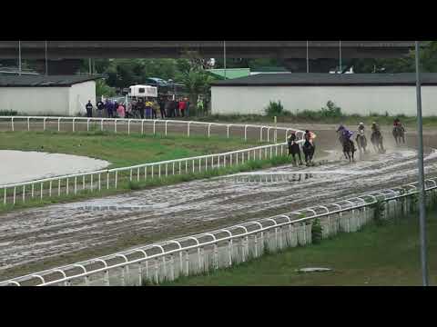 21.8.2022 - III Trka - EXPRES - VISARIS doo - Hipodrom Beograd