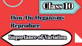 The Importance of Variation | Class 10 Biology How Do Organisms Reproduce