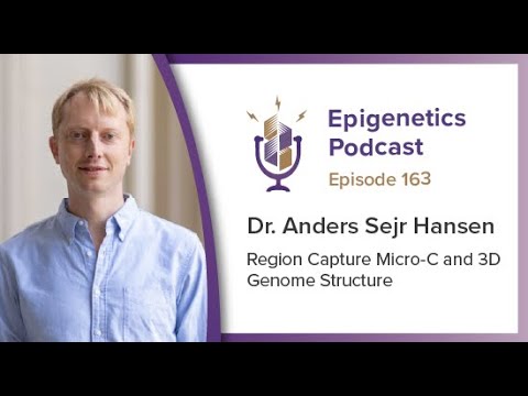 Epigenetics Podcast #163 - Region Capture Micro-C and 3D Genome Structure with Anders Hansen