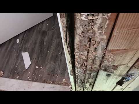 Door Jamb Damaged by Termites in South Bound Brook, NJ