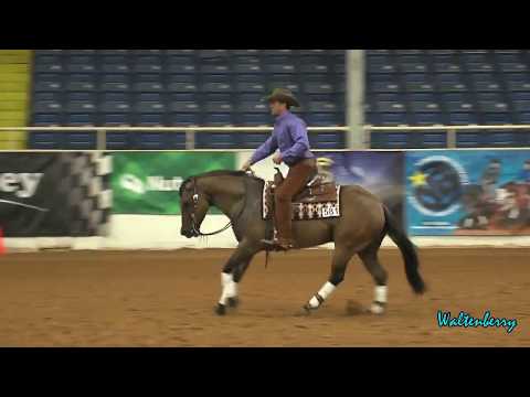 BAMN BAM and Brian Bell