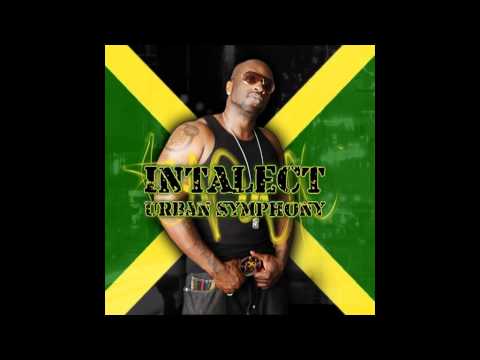 style and class..... INTALECT