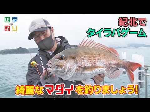 紀北でタイラバゲーム　綺麗なマダイを釣りましょう！（四季の釣り/2022年5月20日放送）